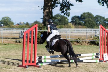 Bild 46 - Pony Akademie Turnier